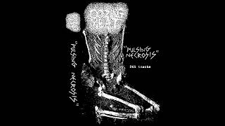 OOZING MEAT  quotPulsing Necrosisquot 265 tracks  Noisecore  Noise 2024 Emptycasketaudio [upl. by Hopfinger]