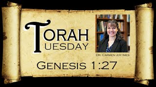 Torah Tuesday  Genesis 127 [upl. by Nilyarg334]