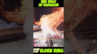 Red Wolf of Radagon eldenring dlc eldenringshadowoftheerdtree [upl. by Acire]