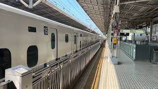 train 新幹線こだま号 新横浜駅 神奈川県 2024年 [upl. by Ellienad]