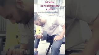 Biceps concentration curlsshortsvideo [upl. by Nylia]