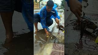 Remove Trash Drain Flood Rain On Street Road drain rainwater unclog shorts [upl. by Etteneg]