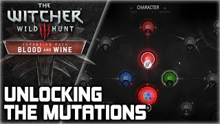 WITCHER 3 Mutations ► How to unlock the new skill tree in Toussaint Quest Walkthrough [upl. by Htebaras]