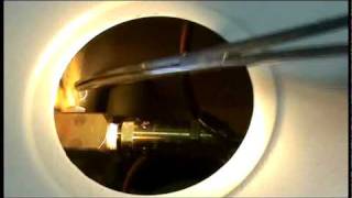 How to Clean and Maintain Your Tuttnauer Automatic Autoclave  Part 2 [upl. by Xuagram170]