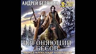 ИЗГОНЯЮЩИЙ БЕСОВ Андрей Белянин АУДИОКНИГА [upl. by Edison]