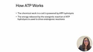 BI112 ATP and ATP cycle ch 6 [upl. by Iveson]