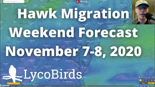 Hawk Migration Forecast for the Weekend of November 7  8 2020 [upl. by Pomfrey357]