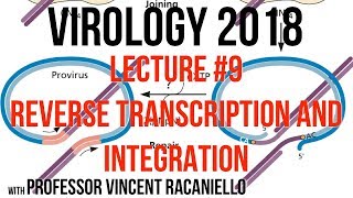 Virology Lectures 2018 9 Reverse Transcription and Integration [upl. by Maison]