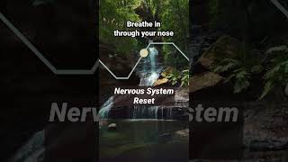 Nervous System Reset relaxing breathingexercise [upl. by Kcoj501]