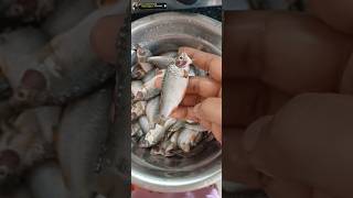 Puti maser sabji purifish youtubeshorts ranicookinghome [upl. by Eiddam]