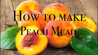 How to make PEACH MEAD First 24 hours [upl. by Sakiv]