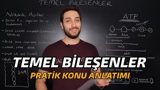 CANLILARIN TEMEL BİLEŞENLERİ  ÖZET KONU ANLATIMI  yks2022 [upl. by Ver352]