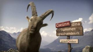 Steinbock Graubuenden TV Spots [upl. by Viveca782]