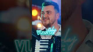 COLAJ VLASKA 🎶 Armin Nicoara✨Petrica Nicoara✨Petrica Brundeanu fyp fypシ゚viral music [upl. by Athiste]