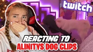 REACTING TO ALINITYS DOG TWITCH CLIPS [upl. by Nelle112]