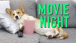 SIMPLE MOVIE NIGHT  Topi the Corgi [upl. by Adama]