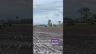 Balap traktor pembajak sawah Thailand [upl. by Bar969]