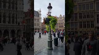 The grand place Brussels Belgium walkingtour belgium travel brusselsbelgium [upl. by Saihtam]