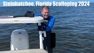 Steinhatchee Florida Scalloping 2024 [upl. by Seana]