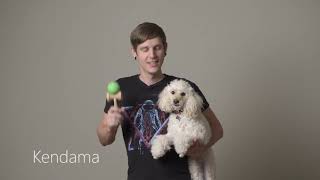 Kendama Basics Tutorial  Beginner Tricks and Tips [upl. by Kayne]