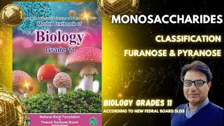 Monosaccharides  Aldo amp Keto Sugars  Furanose amp Pyranose Sugars  Grade 11 Biology  Federal KPK [upl. by Llerrah]