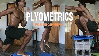 Best Plyometrics Exercises For Beginners At Home [upl. by Sarnoff74]