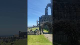 St Andrews Cathedral St Andrews Scotland 🏴󠁧󠁢󠁳󠁣󠁴󠁿 scotland visitscotland scotlandtravel [upl. by Publea748]