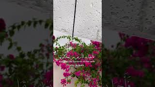 تلاوة من سورة العنكبوت للقارئ عبد الرحمن مسعد 🎧❤️ [upl. by Aicileb]