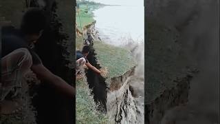 Karnali river cutting floodriver cute karnalishorts [upl. by Yrian]