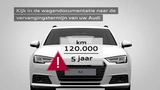 Audi Service Distributieriem vervangen [upl. by Sal971]