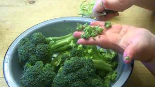 How to Make THE BEST Broccoli Salad [upl. by Remo273]