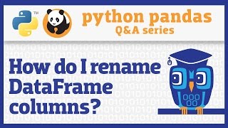 How do I rename columns in a pandas DataFrame [upl. by Wetzel]