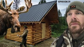 Log Cabin Build on OffGrid Homestead EP31 MOOSE [upl. by Grosmark179]