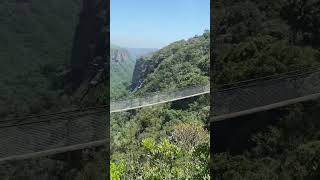 Suspension bridge Oribi gorge [upl. by Almeida]