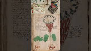 Deciphering the Voynich A Journey into the Worlds Most Enigmatic Manuscript [upl. by Einafit]