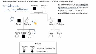 Árbol genealógico para determinar la probabilidad de presentar un rasgo recesivo ligado al sexo [upl. by Mellie]