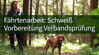 Jagdhundeausbildung ► Fehlervermeidung bei der Fährtenarbeit Schweiß amp Vorbereitung Prüfung [upl. by Aiello]