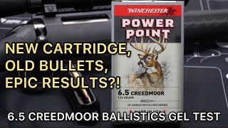 BIG BUCK GOLD 65 Creedmoor Winchester Power Point 129gr SP Ammo Test [upl. by Noryahs780]