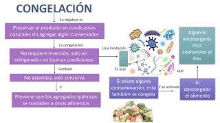 Método de conservación de alimentos congelación [upl. by Nugesulo]