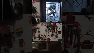 kitchen review kitchen food [upl. by Towrey993]