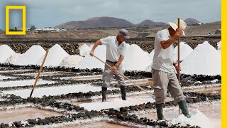 Ever Wonder How Sea Salt Is Made Find Out Here  National Geographic [upl. by Bowrah]