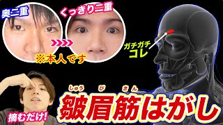 【皺眉筋はがし】奥二重がくっきり二重に変わる！まぶたが厚い・重い一重の人はやってみて [upl. by Annawit]