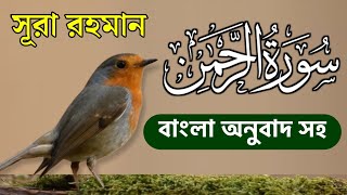 surah rahman  সূরা আর রহমান  surah rahman bangla anubad  Episode 01  Quran Tilawat Tarjuma [upl. by Avihs]