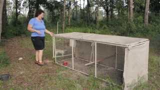 Chicken Coop Ideas A tour of Beckys chicken coop designs [upl. by Nolyad]