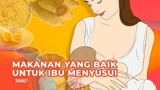 Makanan Sehat untuk Ibu Menyusui [upl. by Neraa]