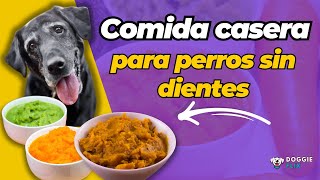 Cómo Preparar Comida Casera para Perros Sin Dientes [upl. by Mann]