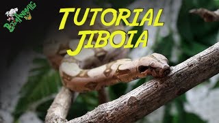 Tutorial Jiboia [upl. by Llorrad170]