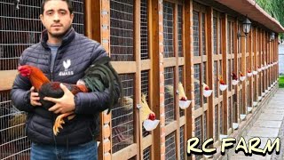 Pure Sweater Giro Clement  RC FARM  Noel Rodriguez [upl. by Mamoun]