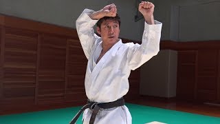 【Karate】How to use Heian Nidan in a Fight Tatsuya Naka JKA [upl. by Odnumyar]