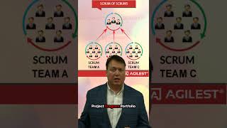 What is ScrumofScrums Master MultiTeam Scrum [upl. by Enrev]